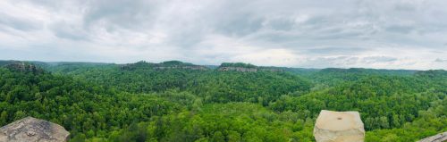 Panoramic view of lush green forests and distant hills under a cloudy sky.