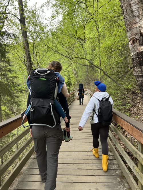 A group of hikers on a wooden path through lush greenery, one carrying a child in a backpack.