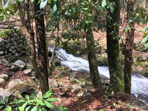 A serene stream flows through a forest, surrounded by trees and rocks, with lush greenery nearby.
