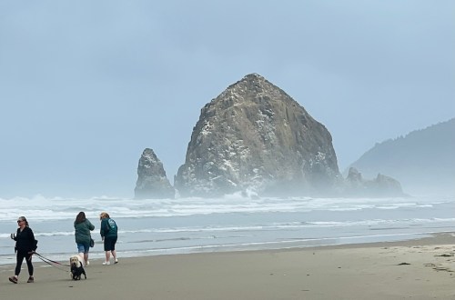 Two people walk a dog on a beach with a large rock formation in the background, shrouded in mist.