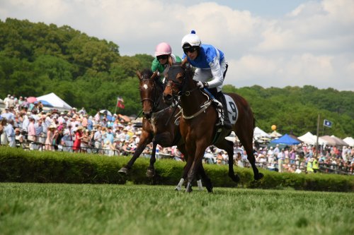 Two jockeys race on horseback, one in blue and white, the other in green and pink, with a crowd in the background.