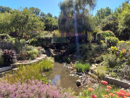 A serene garden scene featuring a pond, lush greenery, and colorful flowers under a clear blue sky.