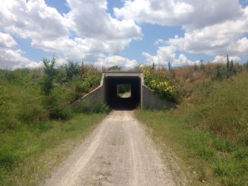 A gravel path leads through a concrete tunnel, surrounded by lush greenery and bright flowers under a cloudy sky.