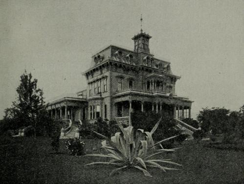 A large, historic mansion with intricate architecture, surrounded by greenery and a prominent plant in the foreground.