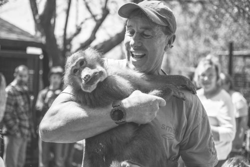 A man joyfully holds a baboon, surrounded by a crowd in a sunny outdoor setting.