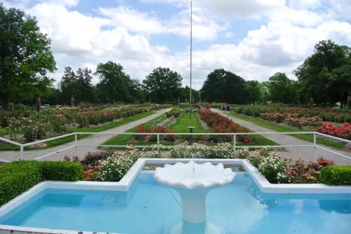 A serene garden with a fountain, surrounded by colorful rose bushes and lush greenery under a partly cloudy sky.
