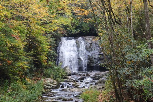 A serene waterfall cascades over rocks, surrounded by vibrant autumn foliage and lush greenery.