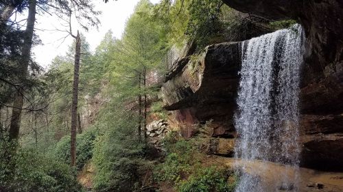A serene waterfall cascades over a rocky cliff, surrounded by lush green trees and foliage in a tranquil forest setting.
