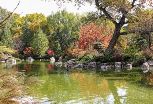 A serene pond surrounded by vibrant autumn foliage and rocks, reflecting colorful trees in calm water.