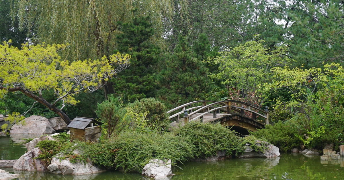 Visit The Incredible Sasebo Japanese Garden In Albuquerque, NM