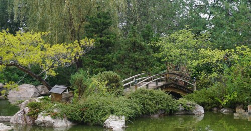 A serene garden scene featuring a wooden bridge over a pond, surrounded by lush greenery and rocks.