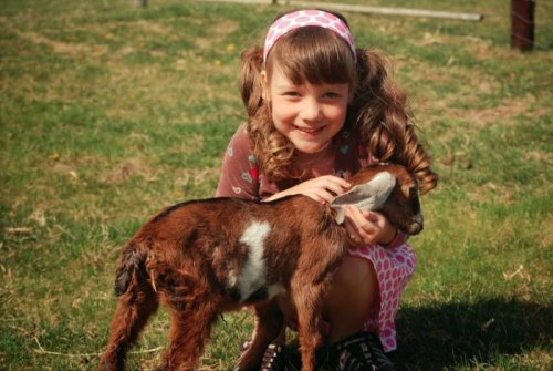 A smiling girl with curly hair kneels beside a small brown goat on green grass.