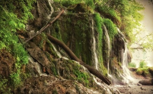 A serene waterfall cascading over moss-covered rocks, surrounded by lush greenery and trees.