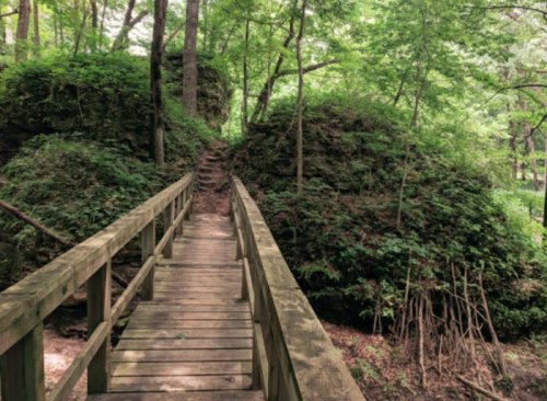 A wooden bridge leads through a lush green forest with rocky mounds on either side.