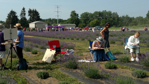 Artists paint in a lavender field, with spectators and a building in the background on a sunny day.