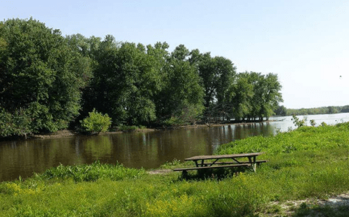 A serene river scene with lush green trees and a picnic table by the water's edge under a clear blue sky.