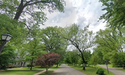 A quiet, tree-lined street with lush greenery and a cloudy sky overhead.