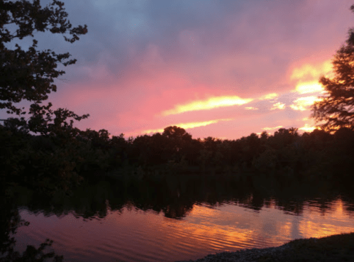 A serene lake at sunset, reflecting vibrant pink and orange hues in the sky and water, surrounded by trees.