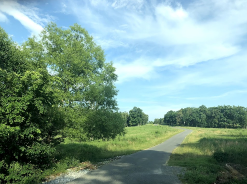 A winding road through a green landscape under a blue sky with scattered clouds. Trees line the sides of the road.