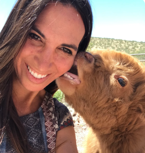 A woman smiles for a selfie while a playful calf nuzzles her cheek in a sunny outdoor setting.
