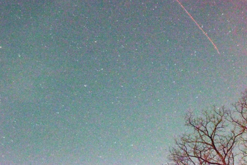 A starry night sky with scattered stars and a faint trail of an airplane, framed by a silhouetted tree branch.