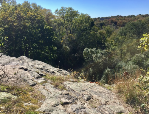 A rocky outcrop overlooks a lush green forest under a clear blue sky.