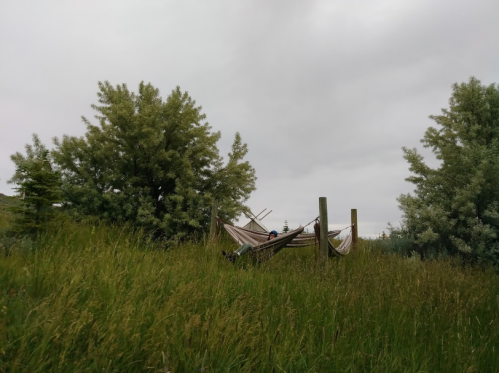 A person relaxes in a hammock between two posts, surrounded by tall grass and trees under a cloudy sky.