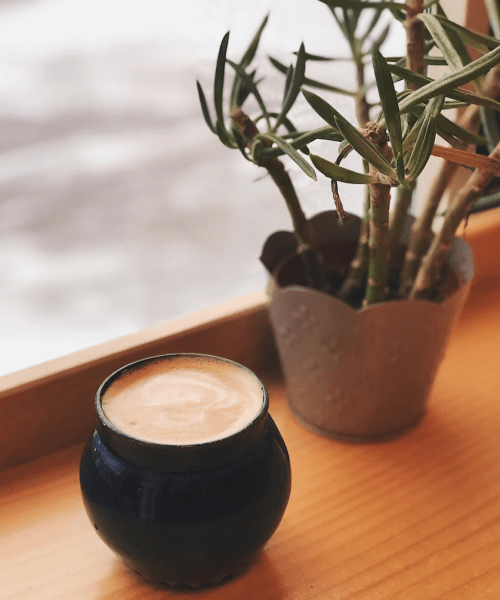 A cozy scene featuring a cup of coffee next to a potted plant on a wooden surface.