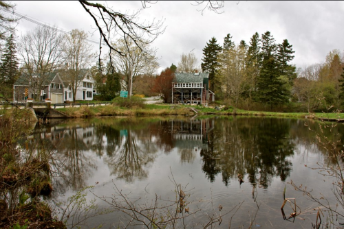A tranquil scene of a pond reflecting trees and houses, surrounded by greenery under a cloudy sky.