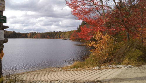A serene lake surrounded by colorful autumn trees under a cloudy sky, with a sandy path leading to the water.