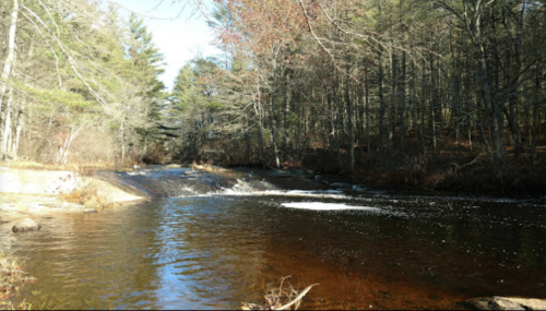 A serene river flows through a wooded area, with trees lining the banks and gentle ripples on the water's surface.