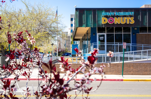 A colorful donut shop with a sign reading "Holey Schmidt! Donuts," framed by blooming flowers in the foreground.