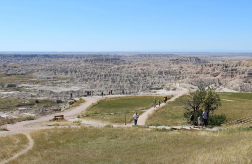 A panoramic view of rugged badlands with visitors walking along paths and a tree in the foreground under a clear blue sky.