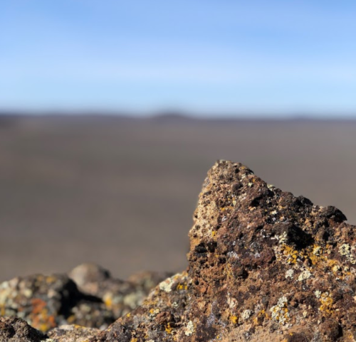 A close-up of a textured rock with a blurred landscape in the background under a clear blue sky.