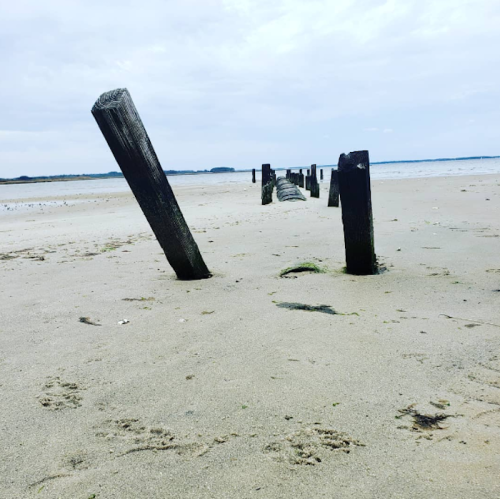 Weathered wooden posts emerge from sandy beach, leading towards a calm sea under a cloudy sky.