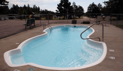 A small, shaped swimming pool with clear blue water, surrounded by a fence and trees in the background.
