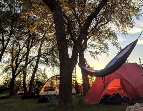 A campsite with tents and a hammock under trees, illuminated by a warm sunset.