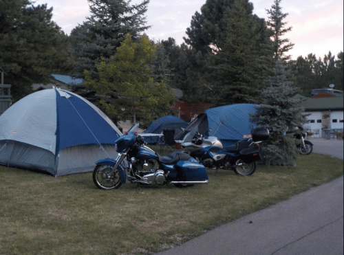 Two motorcycles parked beside blue tents in a grassy area, surrounded by pine trees at dusk.