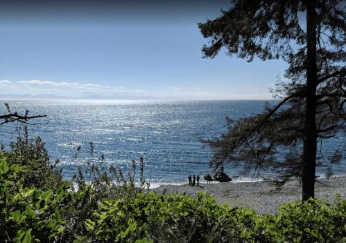A serene beach scene with sparkling water, distant mountains, and lush greenery framing the view under a clear blue sky.