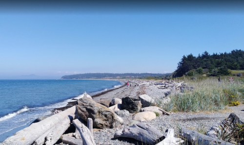 A scenic beach with driftwood, pebbles, and grass, under a clear blue sky with distant hills and people walking along the shore.