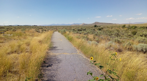 A deserted, cracked pathway through tall grass and shrubs, with mountains in the distance under a clear blue sky.