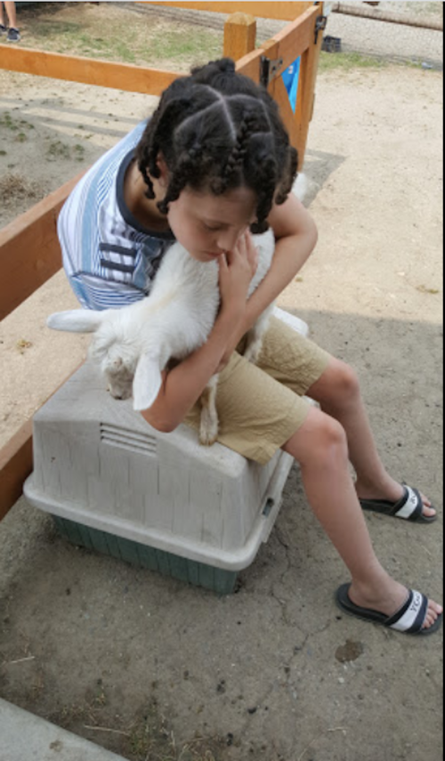 A child sits on a box, gently holding a white goat in their arms, enjoying a moment together outdoors.