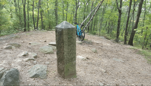 A stone marker stands in a wooded area, with a bicycle leaning against a tree nearby.