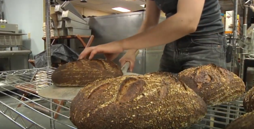 A person slices freshly baked loaves of bread on a cooling rack in a bakery.