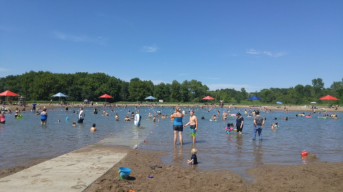 A busy beach scene with people swimming and playing in shallow water, surrounded by trees and colorful umbrellas.