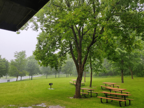 A rainy park scene with green trees and picnic tables under a shelter, creating a serene, wet atmosphere.