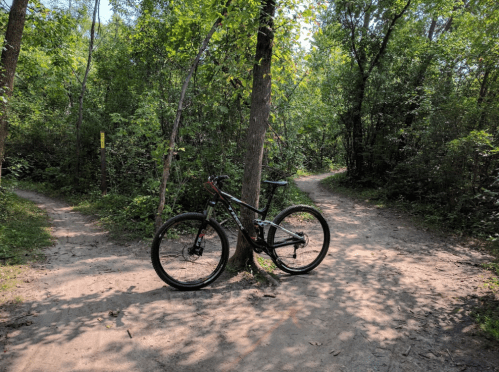 A mountain bike rests against a tree at a fork in a wooded trail, surrounded by lush greenery.