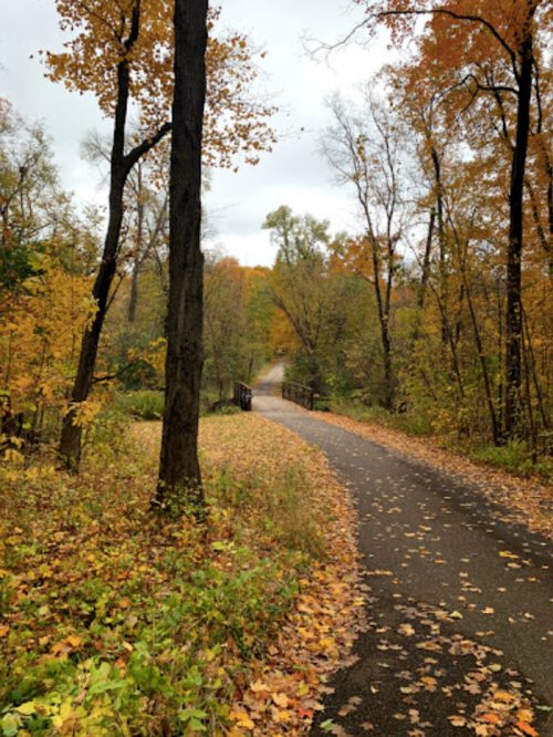 A winding path through a forest with vibrant autumn leaves and a small bridge in the distance.
