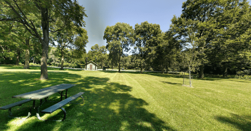 A sunny park scene with green grass, trees, and a small building in the background. A picnic table is in the foreground.