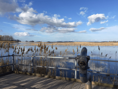 A scenic view of a calm lake with tall grasses, under a blue sky with fluffy clouds, and a viewing telescope in the foreground.